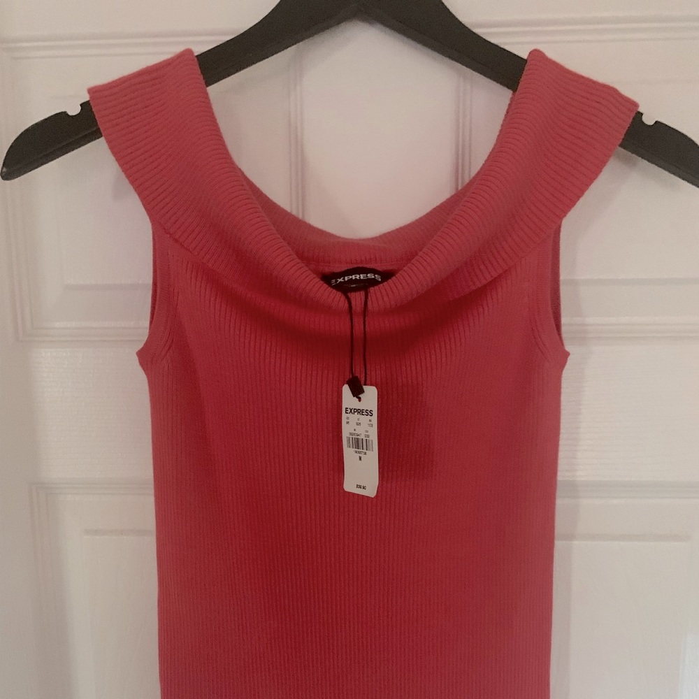 Express Coral Cowl Neck/of the shoulder Light Knit top